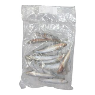 1kg Sardines