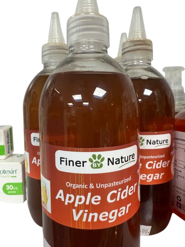 Apple cider vinegar