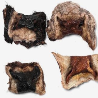 BEEF NOSE