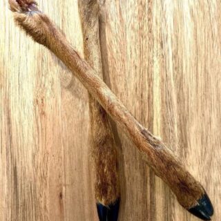 DEER LEG x2