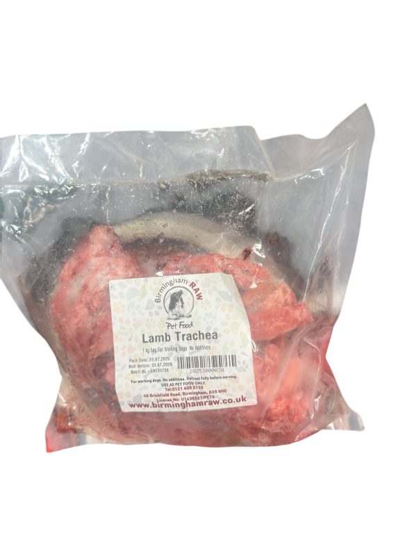 Lamb  Trachea