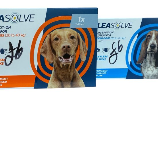 Photoroom_20260116_145242