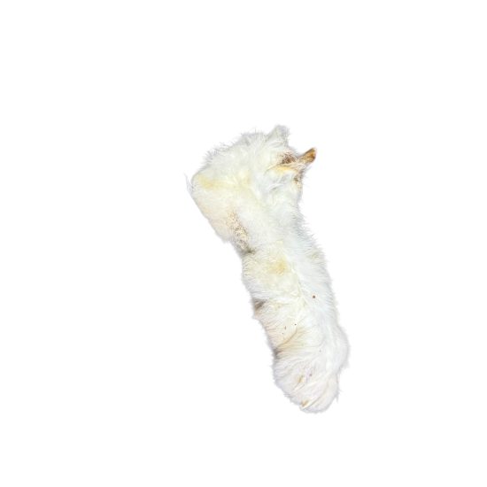 Photoroom_20260116_150945