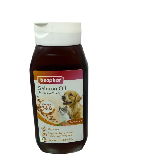 Photoroom_20260116_184253