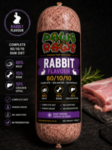 X20 Rabbit