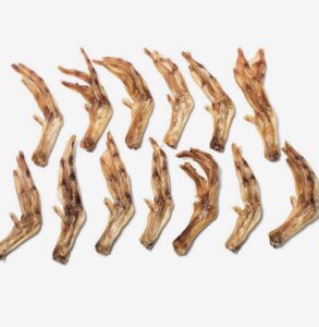 x12 Duck Feet